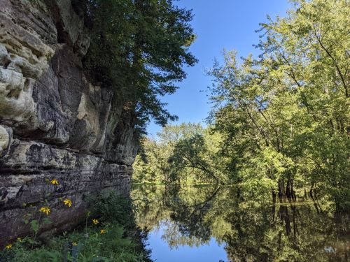 A serene river scene with lush greenery, rocky cliffs, and bright yellow flowers along the water's edge under a clear blue sky.