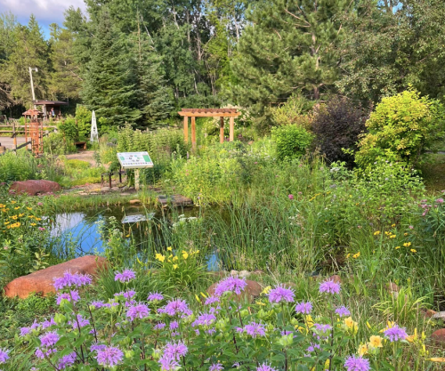 A vibrant garden with purple flowers, a pond, and lush greenery, featuring a wooden arch and informational sign.