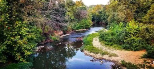A serene river winding through lush green trees and foliage, reflecting the peacefulness of nature.