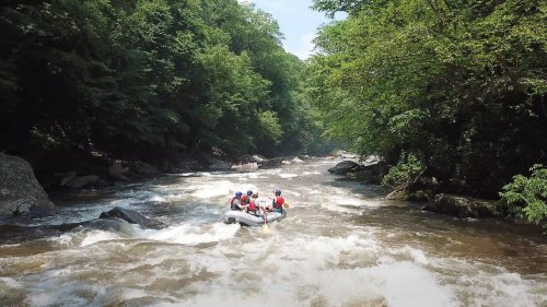 A group of people rafting on a river surrounded by lush green trees and rocky banks.