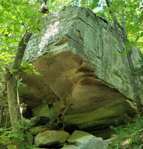 A large, flat rock formation balanced on smaller stones, surrounded by lush green trees in a forested area.