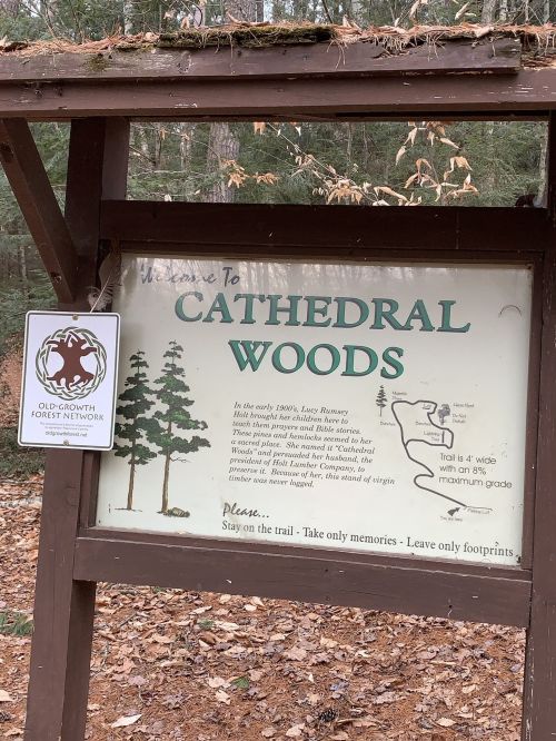 Sign welcoming visitors to Cathedral Woods, detailing trail information and guidelines for exploring the old-growth forest.