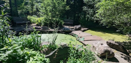 A serene garden pond surrounded by lush greenery and rocks, with benches nearby for relaxation.