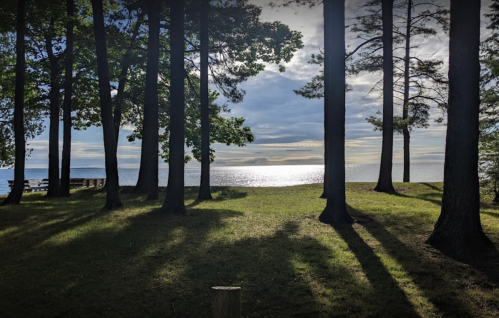 A serene lakeside view framed by tall trees, with sunlight reflecting on the water and a cloudy sky above.