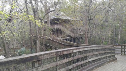A wooden walkway leads to a rustic building surrounded by trees in a natural setting.