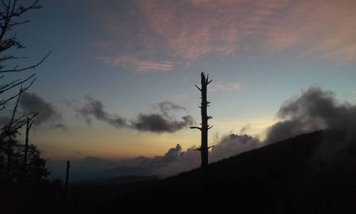 Silhouetted tree against a colorful sunset sky with clouds over a mountain landscape.