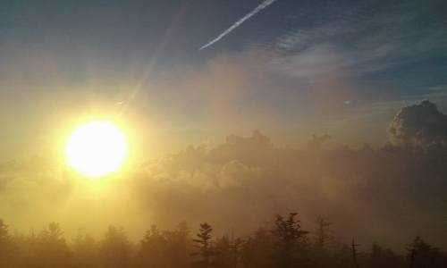 A golden sun rises above a sea of clouds, casting a warm glow over silhouetted trees in the foreground.