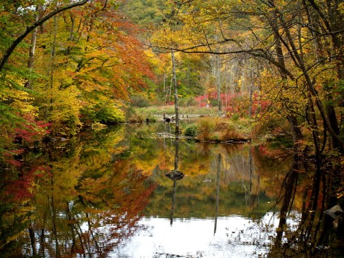 A serene autumn scene with colorful trees reflecting in a calm river surrounded by nature.