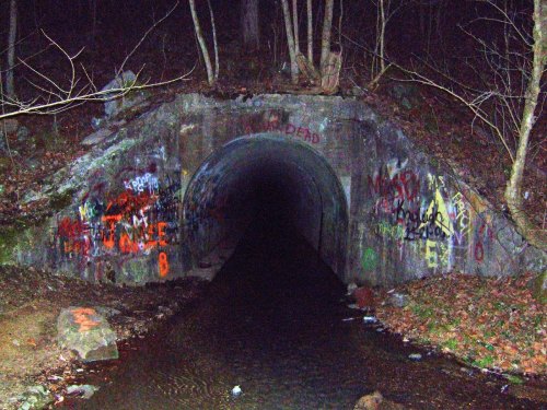 A dark tunnel entrance surrounded by trees, with colorful graffiti on the walls and a small stream in front.