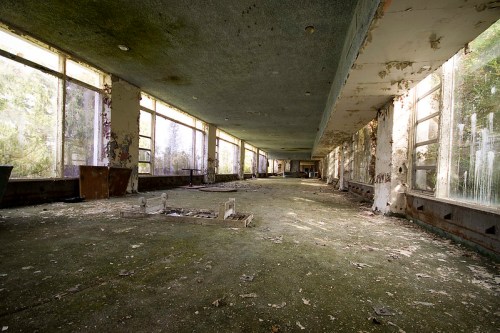 Abandoned interior of a building with overgrown moss, peeling walls, and large windows letting in natural light.