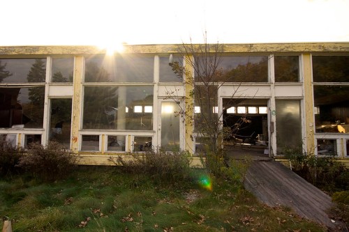 Abandoned building with large windows, overgrown grass, and sunlight shining through, creating a nostalgic atmosphere.