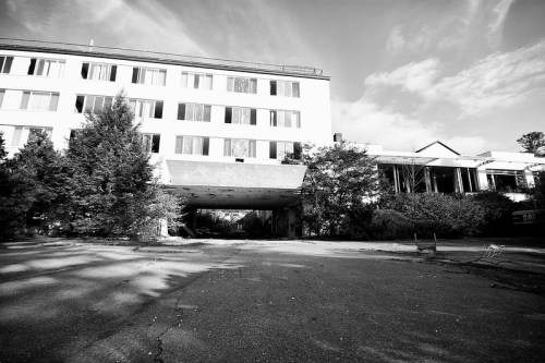 Abandoned building with overgrown vegetation and a cracked pavement in black and white.