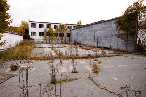 Abandoned outdoor area with overgrown weeds, cracked pavement, and a derelict building in the background.