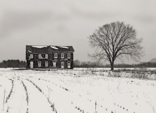 A snow-covered field with an abandoned house and a solitary tree against a gray sky.