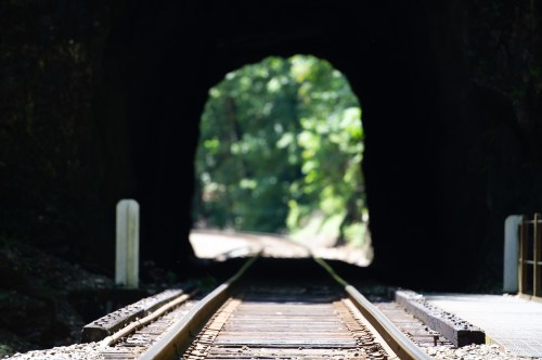 A view of railway tracks leading into a dark tunnel surrounded by greenery.
