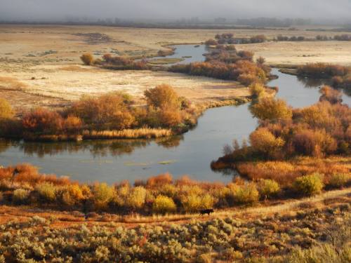 A winding river flows through a landscape of autumn foliage and golden grasses under a misty sky.