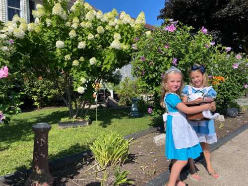 Two young girls in blue dresses with white aprons stand in a garden filled with flowers, smiling at the camera.