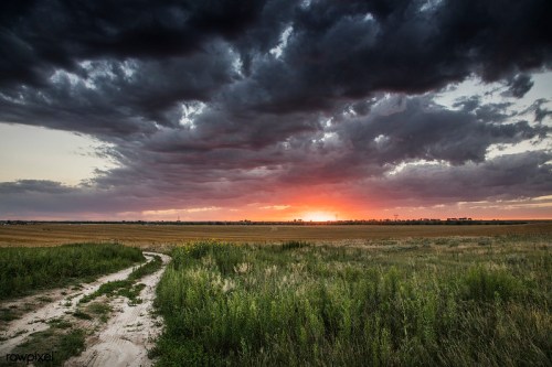 A winding dirt path leads through a grassy field under a dramatic sky at sunset, with dark clouds and vibrant colors.