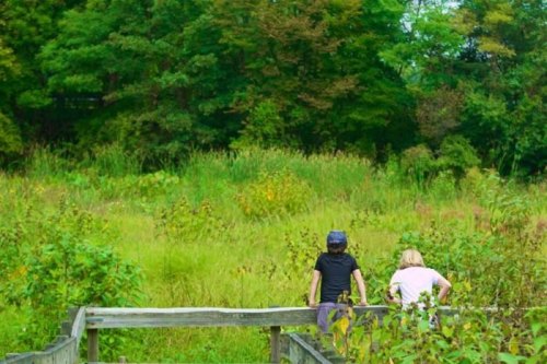 Two children stand on a wooden path, looking out over a lush green field surrounded by trees.