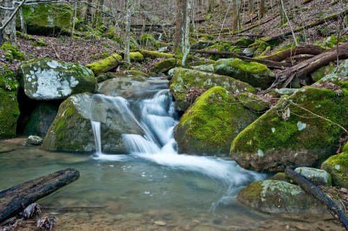 A serene stream flows over moss-covered rocks in a tranquil forest setting, surrounded by trees and fallen branches.