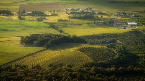 Aerial view of lush green fields, orchards, and farm buildings in a rural landscape.