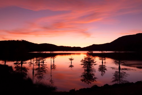 Silhouetted trees reflect in a calm lake at sunset, with vibrant pink and purple skies above the mountains.