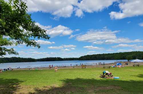 A sunny lakeside scene with people enjoying the beach, green grass, and fluffy clouds in a blue sky.