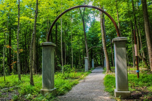 A serene forest path lined with arching metal structures and surrounded by lush green trees.