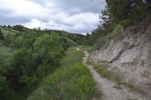 A winding dirt path through lush greenery and hills under a cloudy sky.