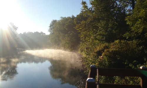 A serene river scene at dawn, with mist rising from the water and sunlight filtering through the trees.