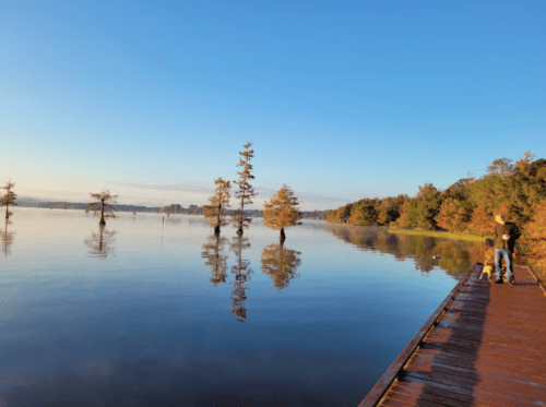 A serene lake at sunrise, with trees reflected in the calm water and a person standing on a wooden dock.