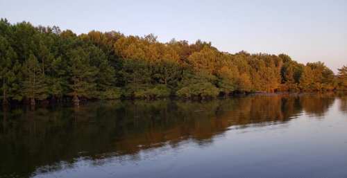 A serene lake reflecting a tree-lined shore with autumn foliage under a clear sky.