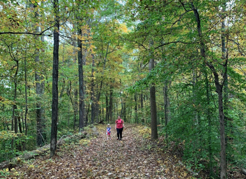 A person and a child walk along a leaf-covered path in a vibrant, green forest during autumn.