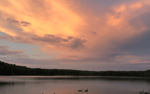 A serene lake at sunset, with colorful clouds reflecting on the water and geese swimming peacefully.