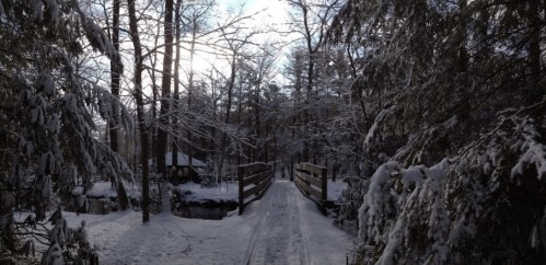 A snowy landscape with trees and a wooden bridge over a small stream, illuminated by soft winter sunlight.