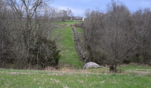 A grassy hillside with a stone wall running down the slope, surrounded by bare trees and a distant house.