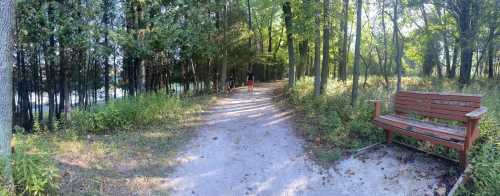 A serene forest path with a wooden bench, surrounded by trees and greenery, leading towards a lake in the distance.