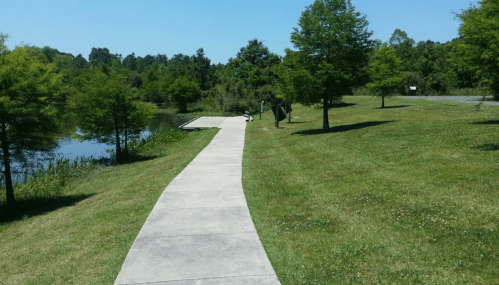 A paved path leads through a grassy park by a calm pond, surrounded by trees under a clear blue sky.