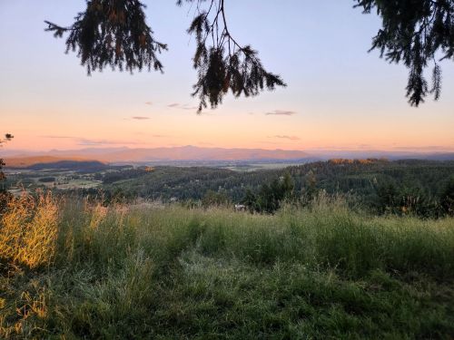 A serene landscape at sunset, featuring rolling hills, distant mountains, and a grassy foreground under a tree.