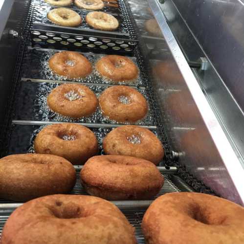 Freshly fried donuts cooling on a rack, some glazed and others plain, in a display case.