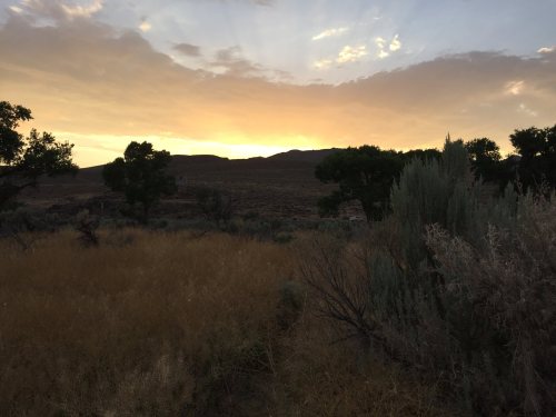 Sunset over a grassy landscape with silhouetted trees and distant hills under a colorful sky.