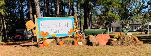 A colorful sign reading "Pumpkin Patch Farms" surrounded by pumpkins, hay bales, and autumn decorations in a sunny outdoor setting.
