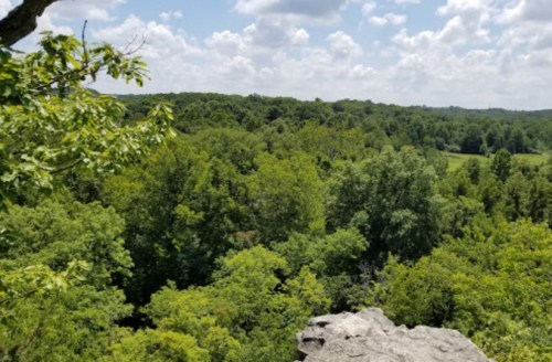A scenic view of lush green trees and a cloudy sky from a rocky overlook.
