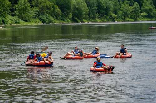 A group of people floating on inner tubes in a river, surrounded by lush green trees and a calm water surface.