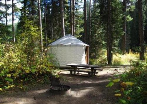A white yurt surrounded by trees, with a picnic table and fire pit in a forested area.