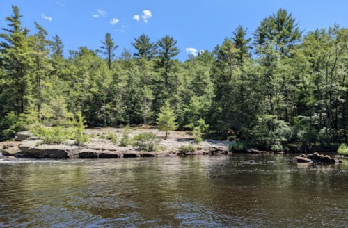 A serene river scene with lush green trees lining the shore under a clear blue sky.
