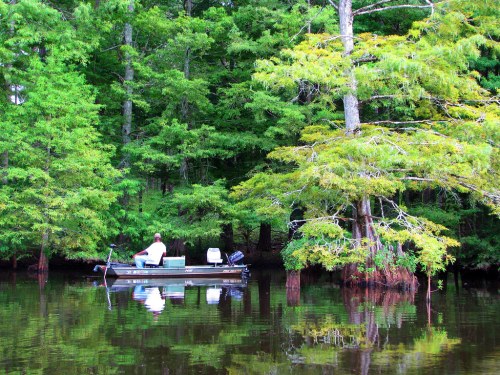 A small boat on a calm lake surrounded by lush green trees, reflecting in the water.