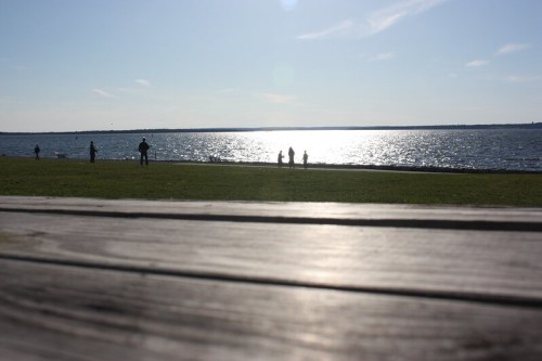 A serene waterfront scene with people silhouetted against the shimmering water under a clear sky.