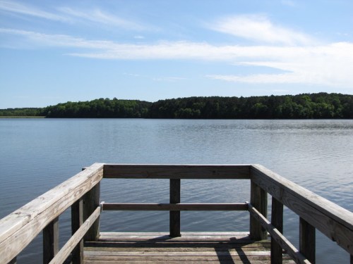 A wooden dock extends over a calm lake, surrounded by lush green trees under a clear blue sky.