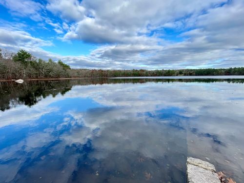A serene lake reflecting clouds and trees under a blue sky, with a rocky shore in the foreground.